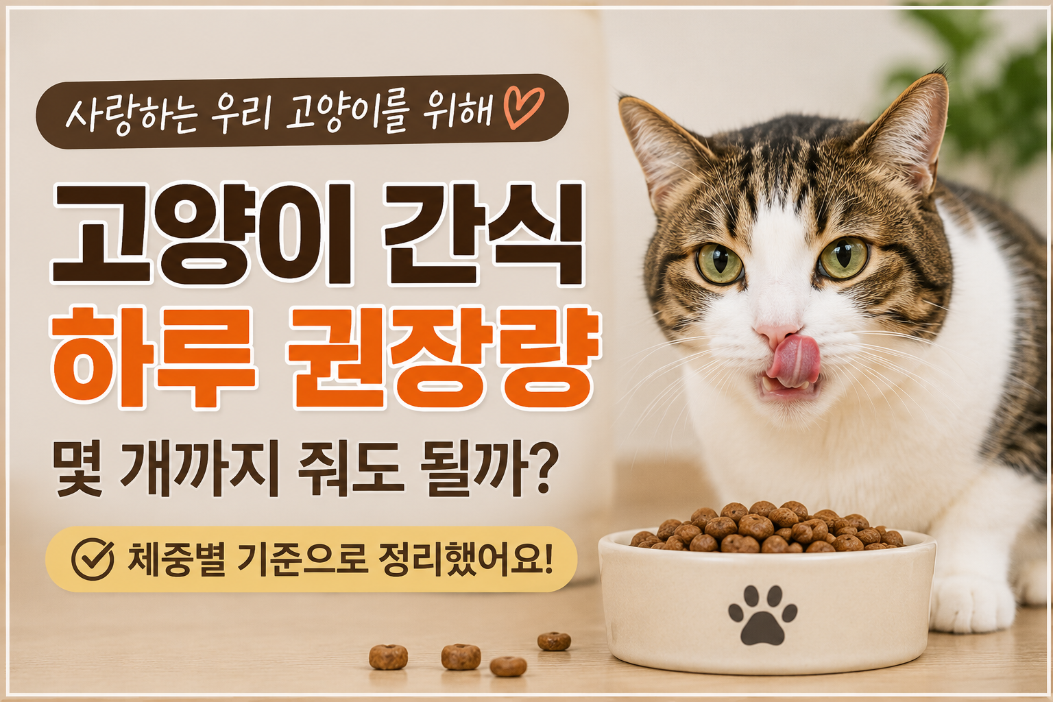 고양이 간식 하루 권장량 몇 개까지 체중별 칼로리 기준